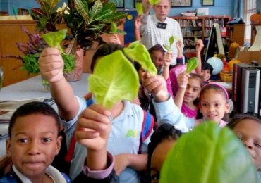 My Top 5 Green Wish List for Las Vegas in 2016